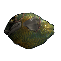 Fish Rock in Rust