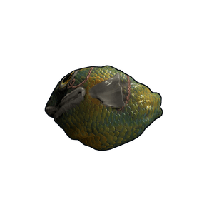 Fish Rock
