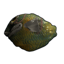 Fish Rock