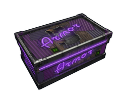 Neon Armor Storage