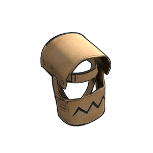 Cardboard Helmet