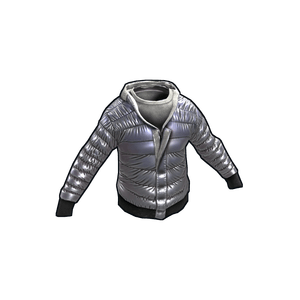 Winter Hoodie