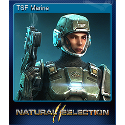TSF Marine