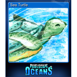 Sea Turtle