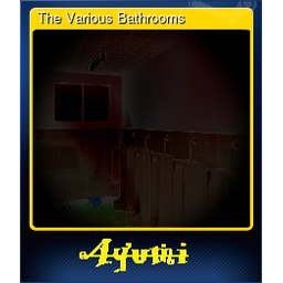 The Various Bathrooms