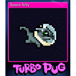 Space Kitty