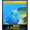 Butterfly Fish