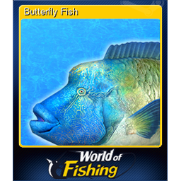 Butterfly Fish