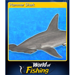 Hammer Shark