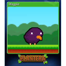 Magpie