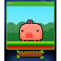 Pig