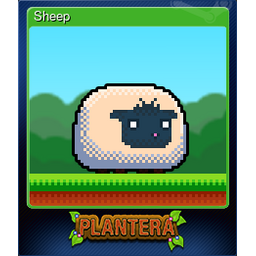 Sheep