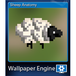 Sheep Anatomy