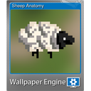 Sheep Anatomy (Foil)