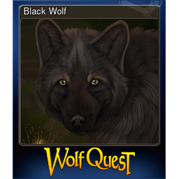 Black Wolf