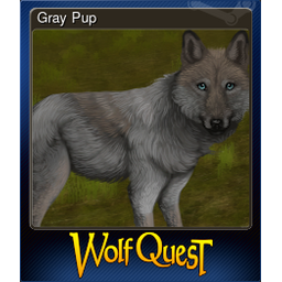 Gray Pup