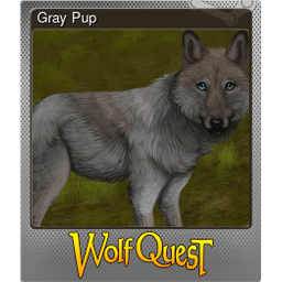 Gray Pup (Foil)