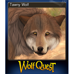 Tawny Wolf