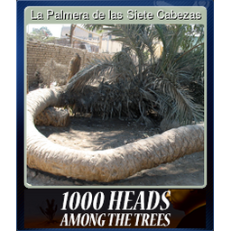 La Palmera de las Siete Cabezas