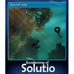 Secret key