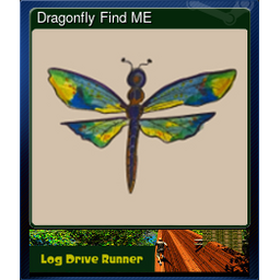 Dragonfly Find ME