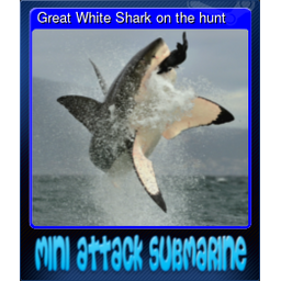 Great White Shark on the hunt