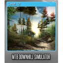 Level 12 (Foil)