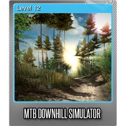 Level 12 (Foil)