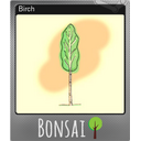 Birch (Foil)