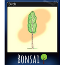 Birch