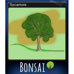 Sycamore