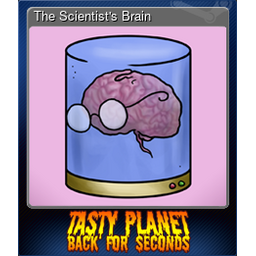 The Scientists Brain