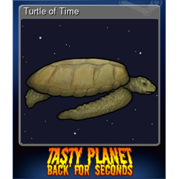 Turtle of Time