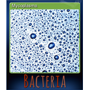 Mycoplasma