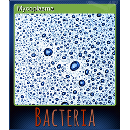 Mycoplasma