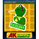 DUCKs HAT