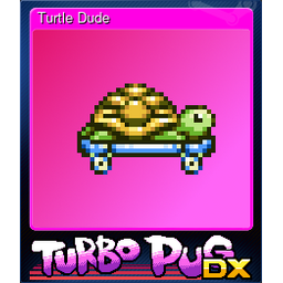 Turtle Dude