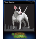 Bull Terrier