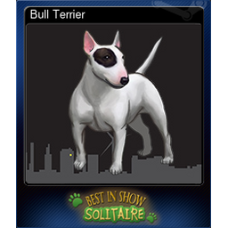 Bull Terrier