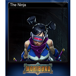 The Ninja