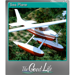 Sea Plane (Foil)