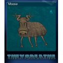 Moose