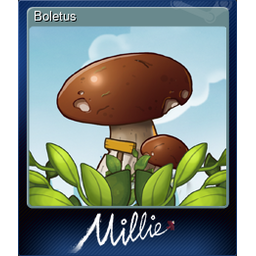 Boletus