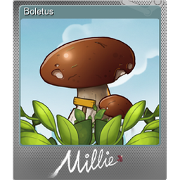 Boletus (Foil)