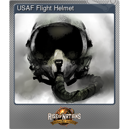 USAF Flight Helmet (Foil)