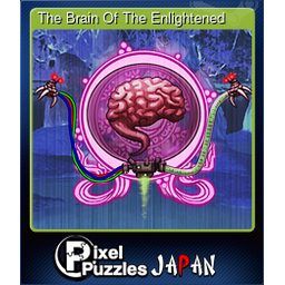 The Brain Of The Enlightened