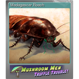Madagascar Roach (Foil)