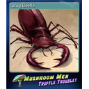 Stag Beetle