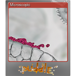 Microscopic (Foil)