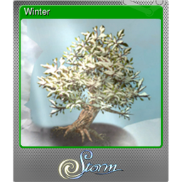 Winter (Foil)